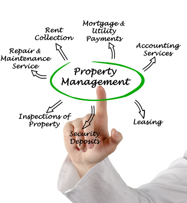 Mortgage-Free or Leveraged? The Best Strategy for Your Rental Property